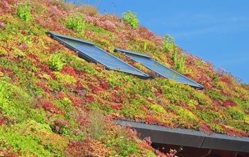 Stevenston living roof systems